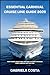The Essential Carnival Cruise Line Guide 2025 by Gabriela Costa