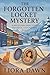 The Forgotten Locket Mystery  by Liora Dawn