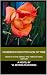 MORDRED FORGOTTEN SON OF THEE by VL REYNOLDS-RHODES MORDRED FORGOTTEN SON OF THEE by VL REYNOLDS-RHODES