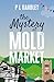 The Mystery At Mold Market