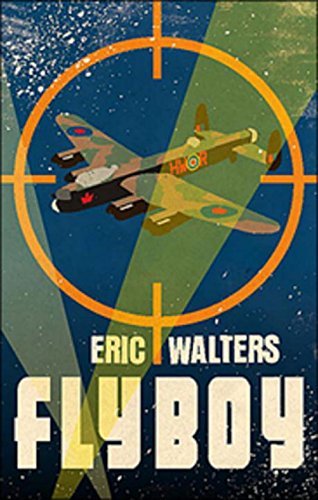 Fly Boy (Paperback)