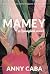 Mamey: a Spanglish novel