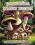 Whimsical Fairy Home Colori...