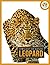 Leopard (Spotlight On Natur...