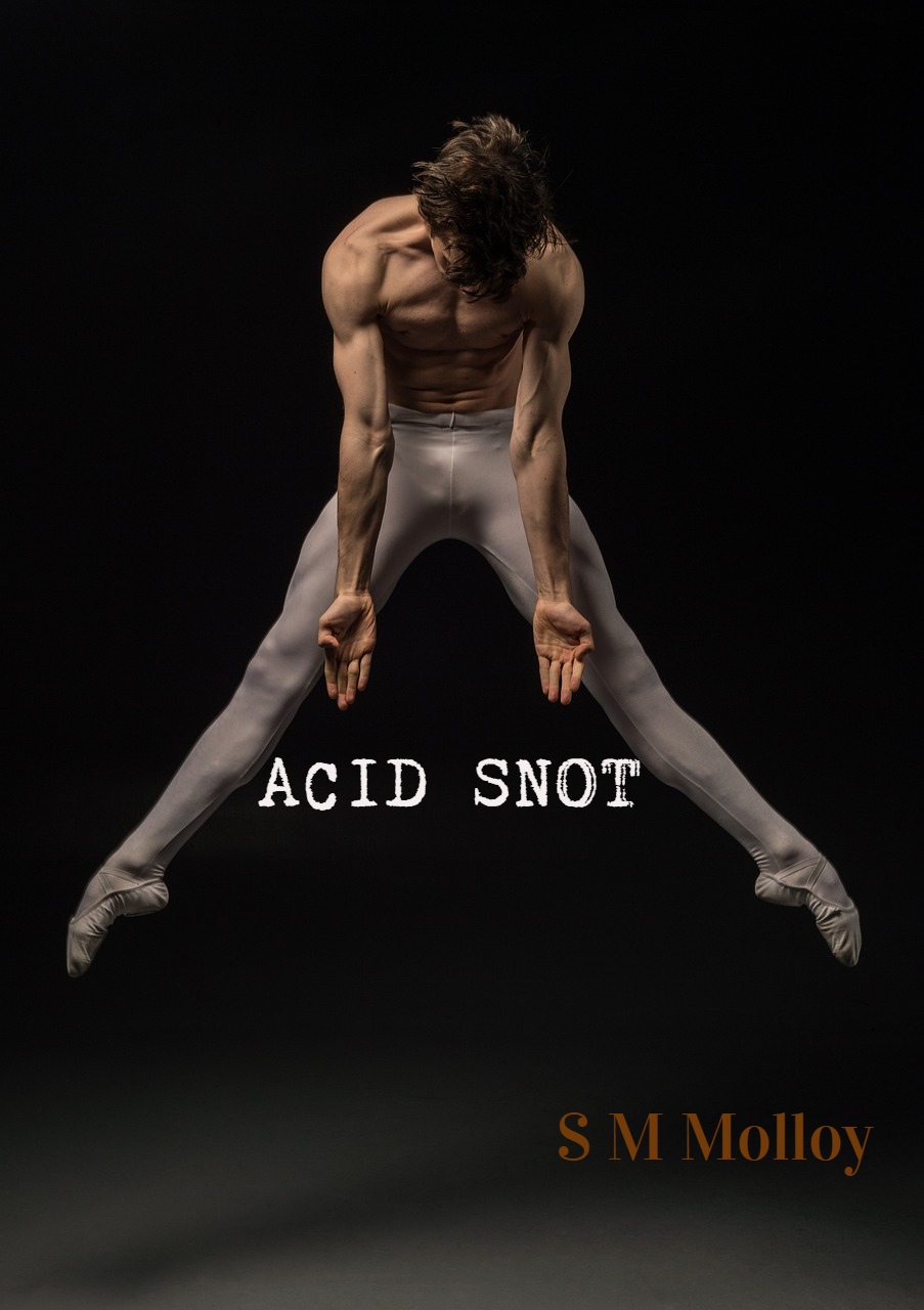 Acid Snot (ebook)