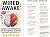 Wired Awake :mental health ...