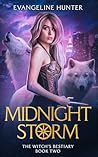 Midnight Storm: A...