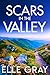 Scars in the Valley (A Sapphire Valley Mystery Book 2)