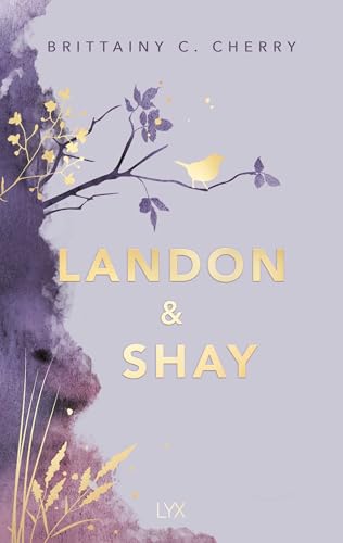 Landon & Shay (Chances #2)