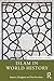 Islam in World History by Susan L. Douglass
