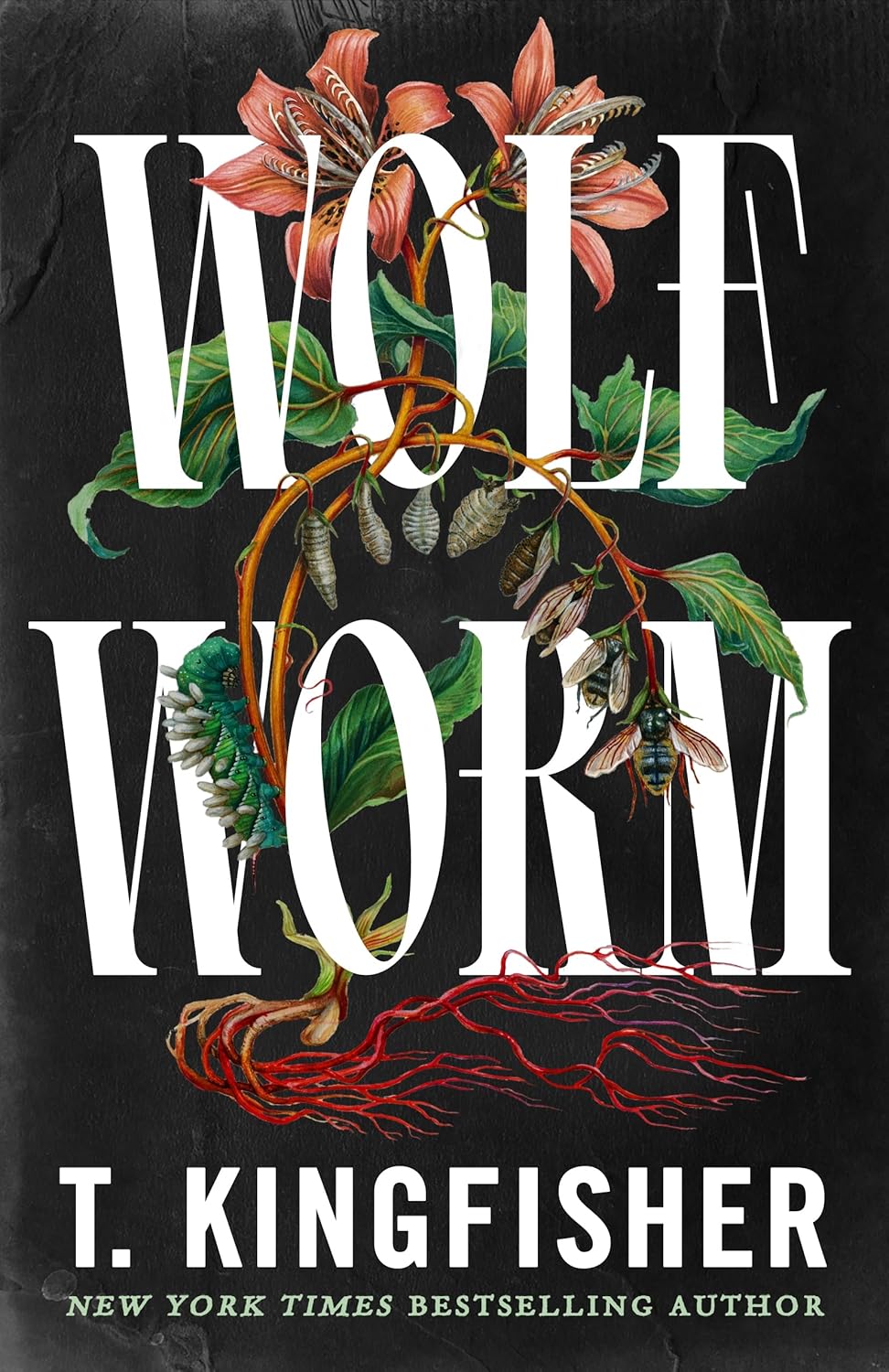 Wolf Worm (Hardcover)