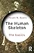 The Human Skeleton: The Basics