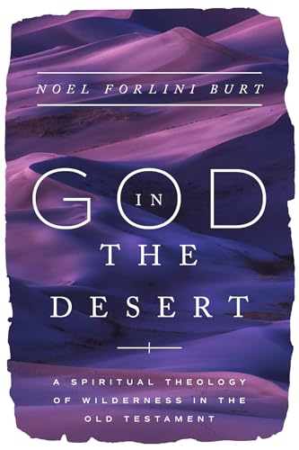 God in the Desert: A Spiritual Theology of Wilderness in the Old Testament (Paperback)
