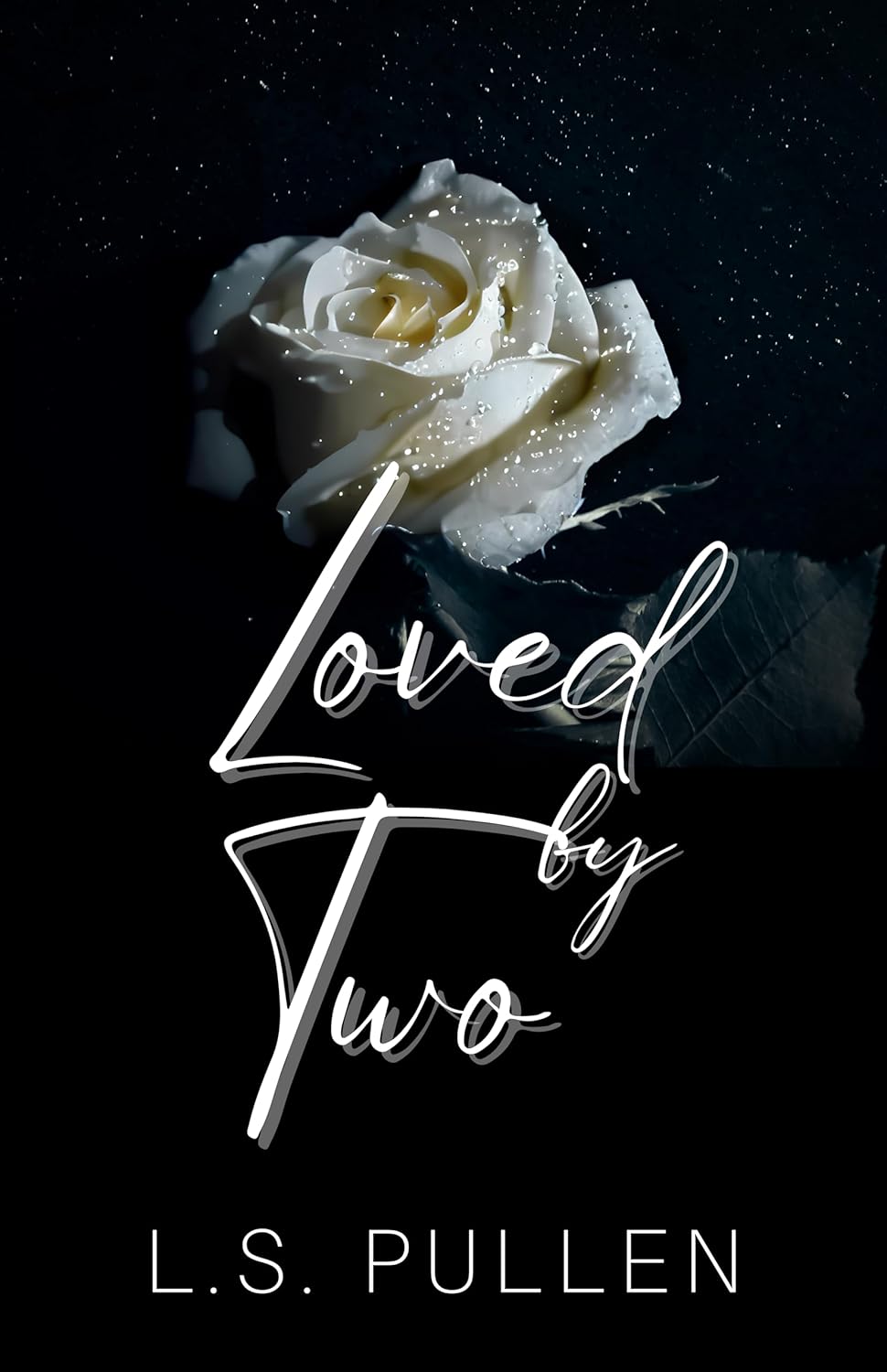 Loved by Two (Saved Book 2)