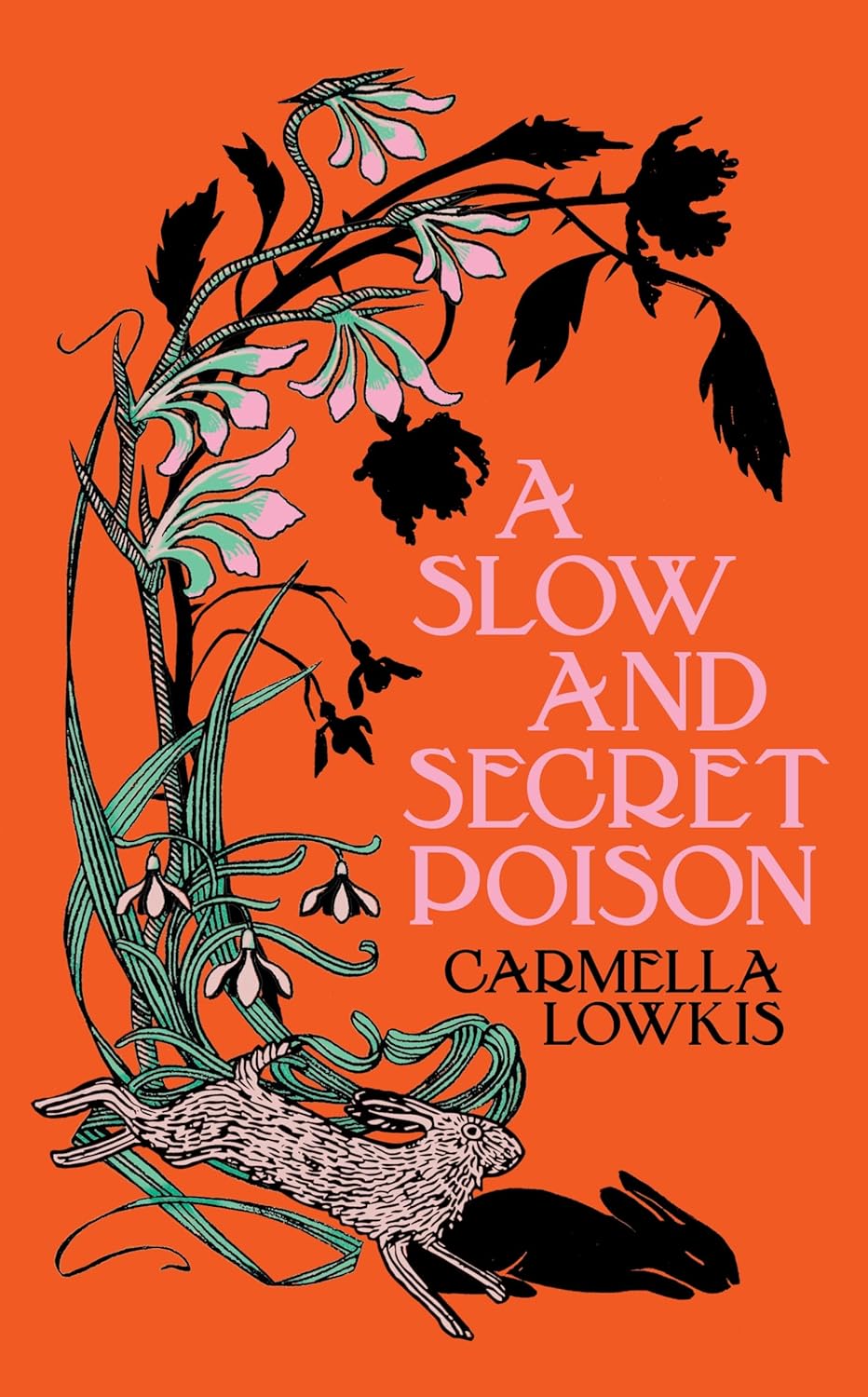 A Slow and Secret Poison: A gloriously gothic historical novel of secrets and intrigue