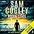 Rogue State: Adam Knight Thrillers, Book 3