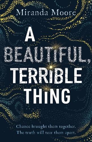 A Beautiful Terrible Thing (Unknown Binding)