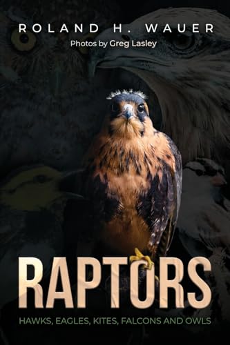 Raptors: Hawks, Eagles, Kites Falcons, and Owls (Paperback)