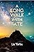 A Long Walk With Fate by Liz Torlée