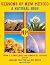 Seasons of New Mexico: A Natural High