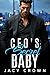 CEO's Secret Baby: (No) Sec...