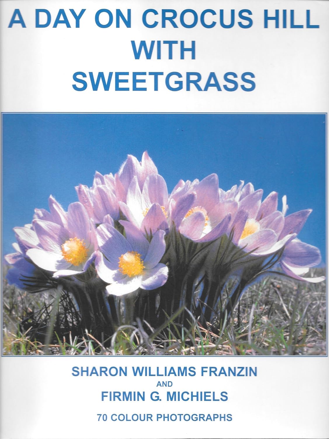A Day On Crocus Hill With Sweetgrass (Hardcover)