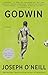 Godwin: A Novel