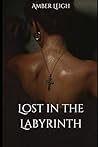 Lost in the Labyrinth