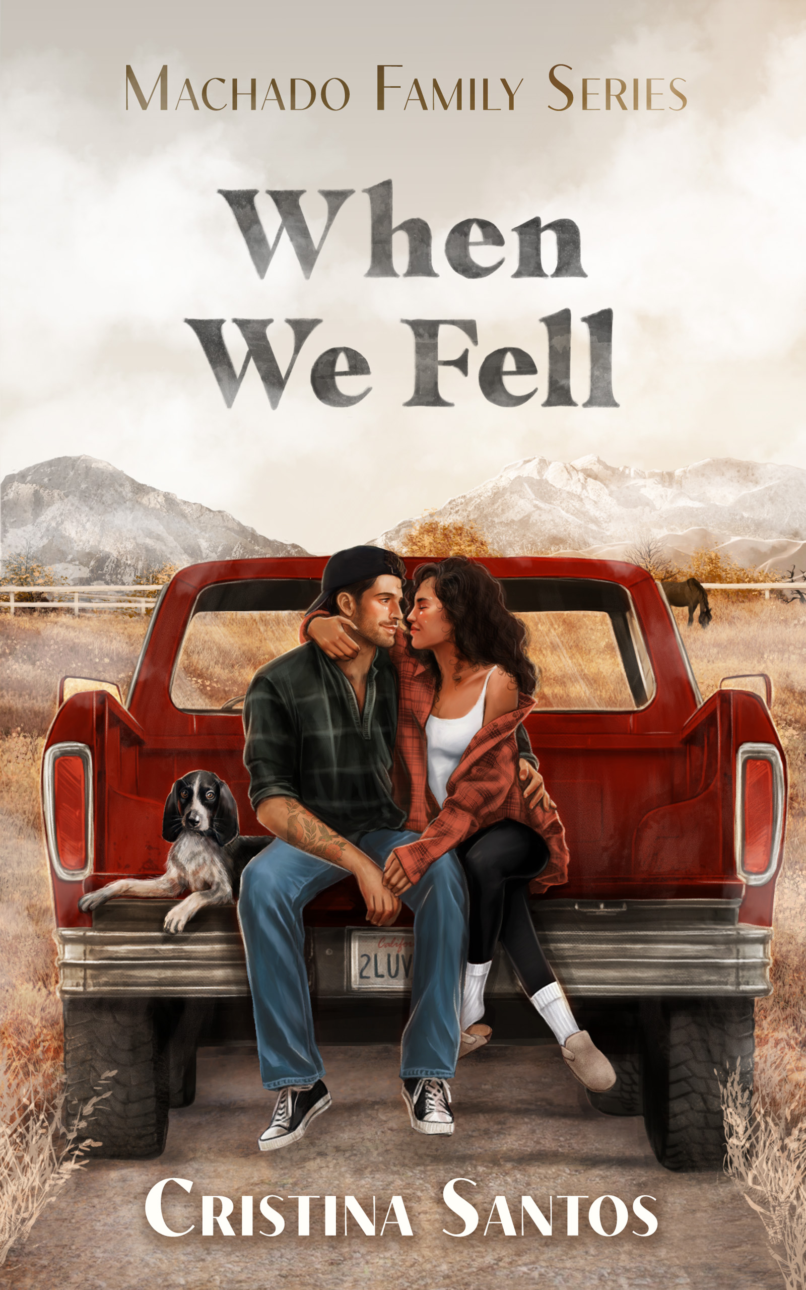 When We Fell (Paperback)