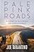 Pale Pink Roads by Joe  Tarantino