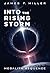 Into the Rising Storm: Mega...