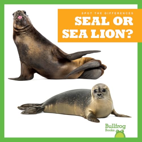 Seal or Sea Lion? (Spot the Differences)