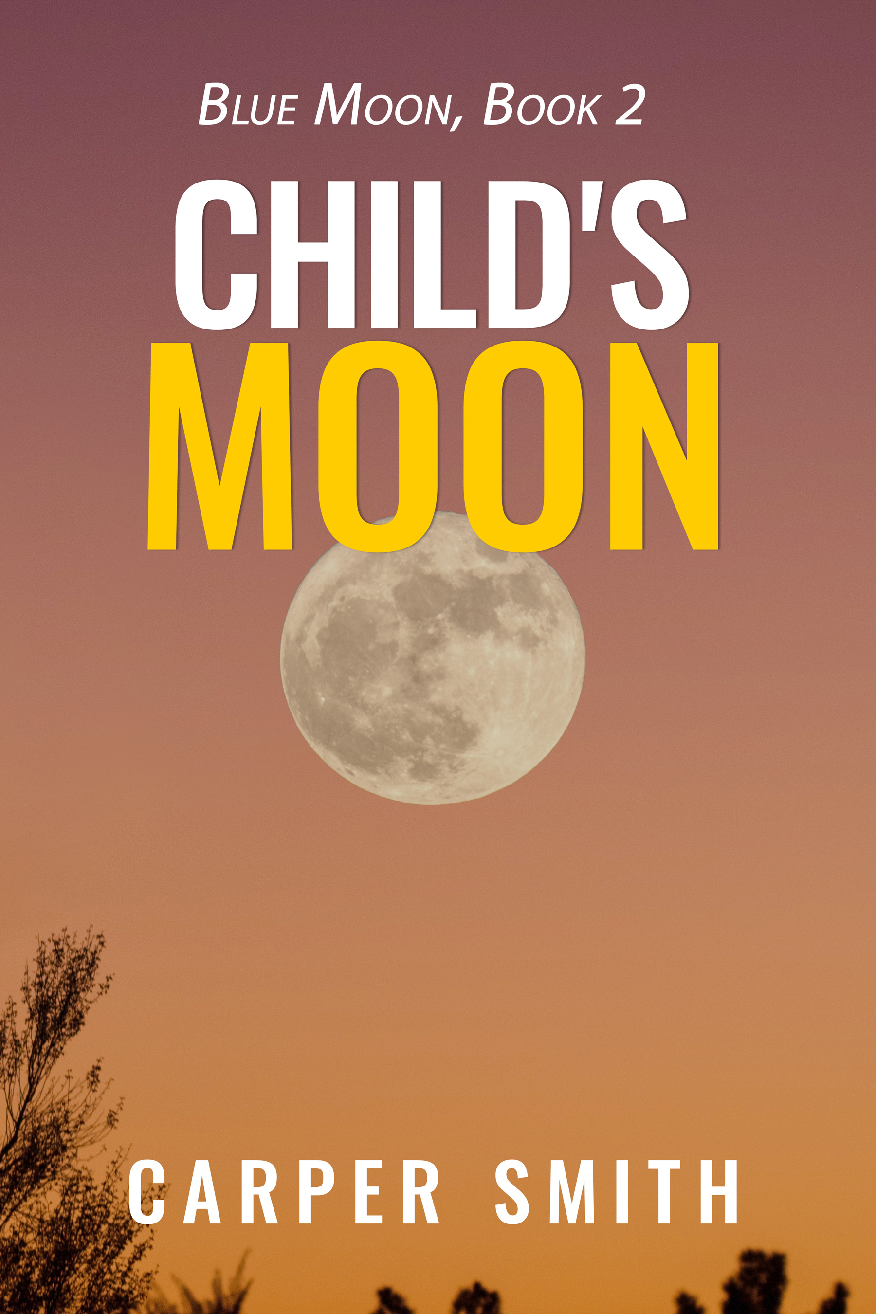 Child's Moon: A Race Against the Clock to Find a Missing Child (Blue Moon Book 2)
