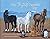 The Perfectly Beautiful Day Luna & the MorningStar Family Sag... by Dora Dillistone