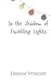 In the Shadow of Twinkling Lights by Eleanor Prescott
