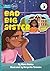 Bad Big Sister - Our Yarning