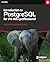 Introduction to PostgreSQL for the data professional.