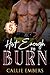 Hot Enough to Burn: A firef...