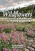 Wildflowers of Alaska and the Yukon Territory by Steve Chadde