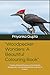 "Woodpecker Wonders: A Beau...