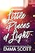 Little Pieces of Light (Castle Hill Academy, #1)