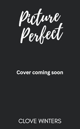 Picture Perfect: A Spicy Small Town Romance (Wicklow Way Book 1)