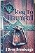 Key to Tirumfall (Tirumfall Trilogy)