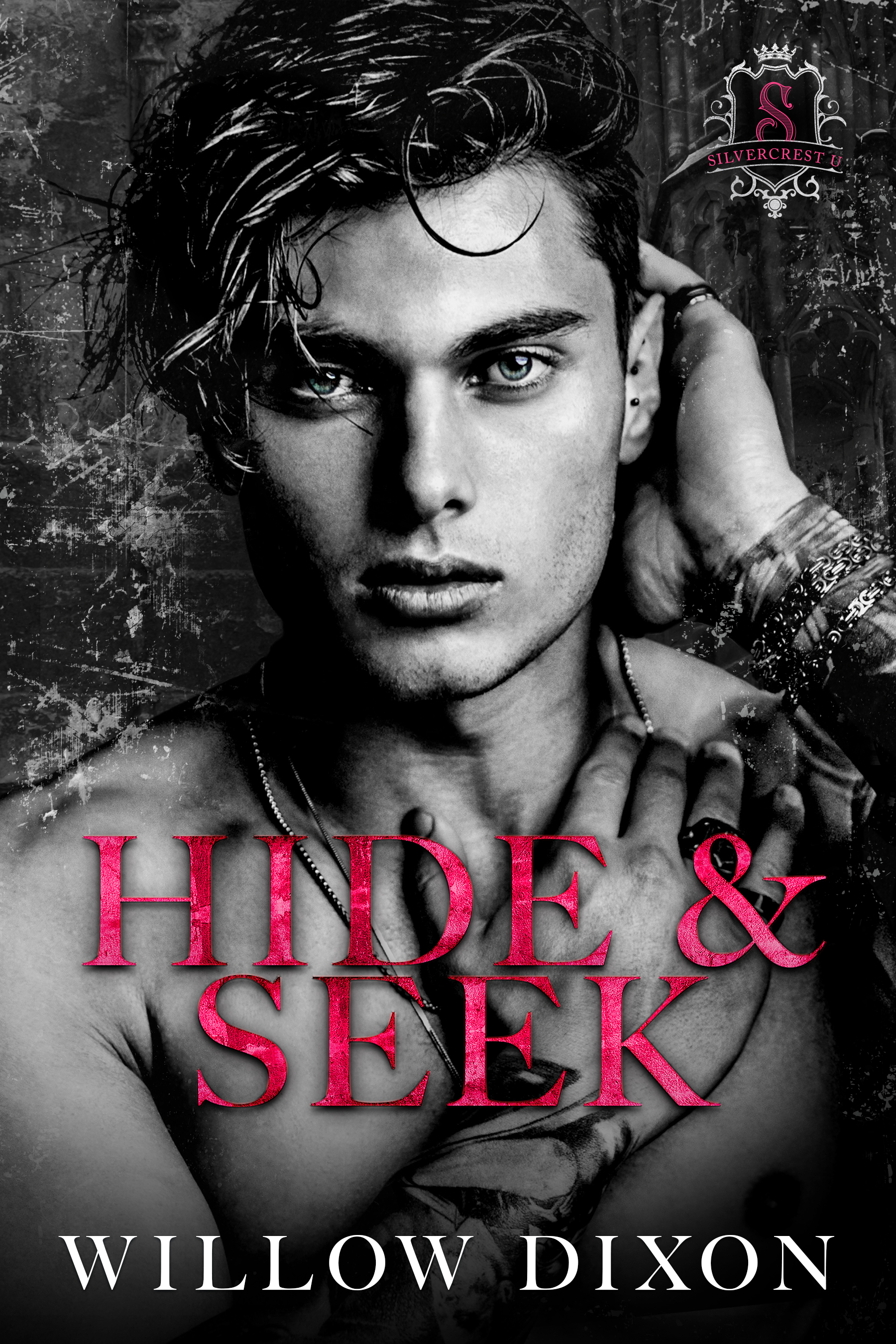 Hide and Seek (Silvercrest U, #2)