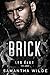 Brick (Les Élus #5)
