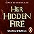 Her Hidden Fire (Her Hidden...