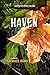 Haven by Rachael Ikins