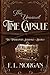 The Unusual Time Capsule by F.L. Morgan