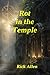 Rot in the Temple: A Modern Allegory