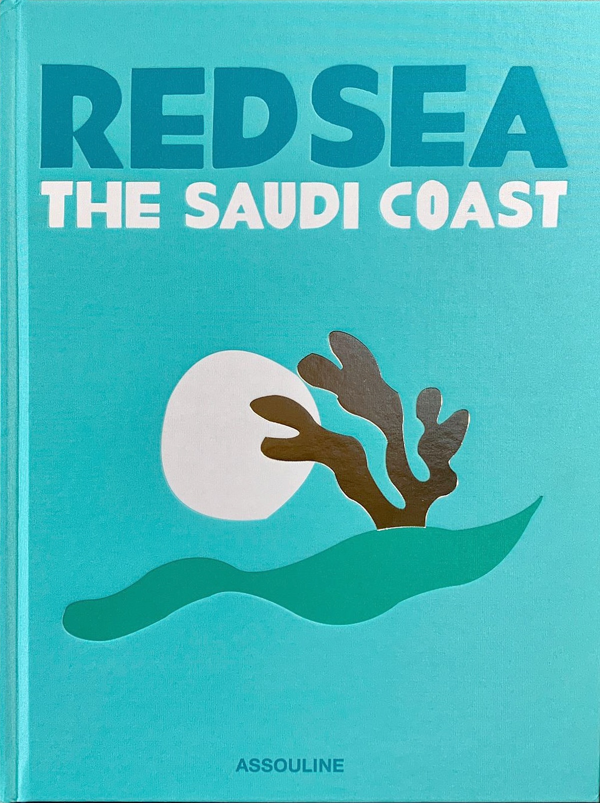 Saudi Arabia: Red Sea, the Saudi Coast (Hardcover)